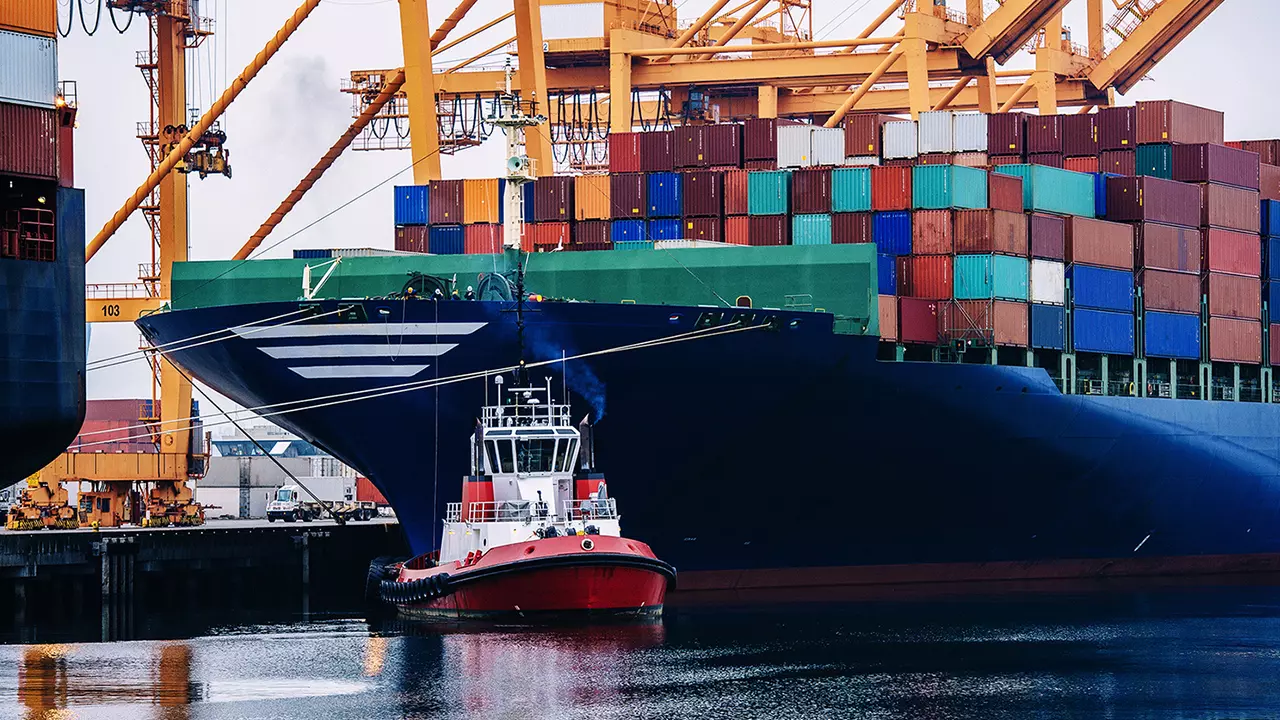 Freight transport and cargo coordination illustration